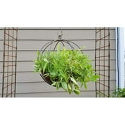 Find Your Passage LLC Large Hanging Globe-shaped Handmade Metal Planter with 10-inch Hook Grey